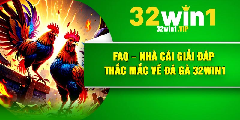 FAQ – Nhà cái giải đáp thắc mắc về đá gà 32Win1